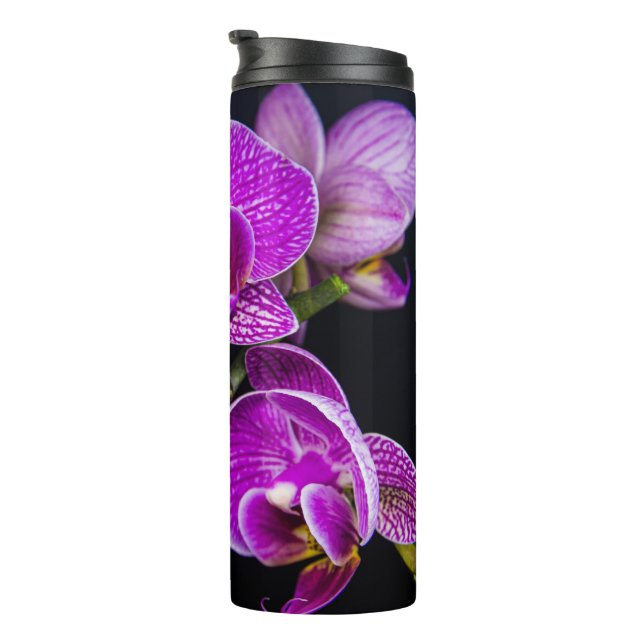 Bouteilles Isothermes Orchidée violette (Tourné sur la droite)