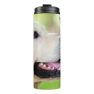 Bouteilles Isothermes Oreiller À Lancer Du Labrador Et Du Papillon