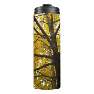 Bouteilles Isothermes Paire d'érables jaunes Automne Nature