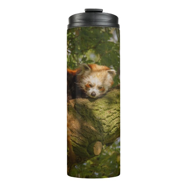 BOUTEILLES ISOTHERMES PANDA ROUGE SUR BRANCHE ARBRE VERT (Devant)
