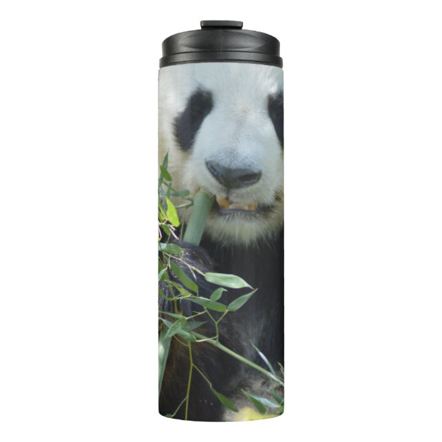Bouteilles Isothermes Panda Thermal Tumbler (Devant)