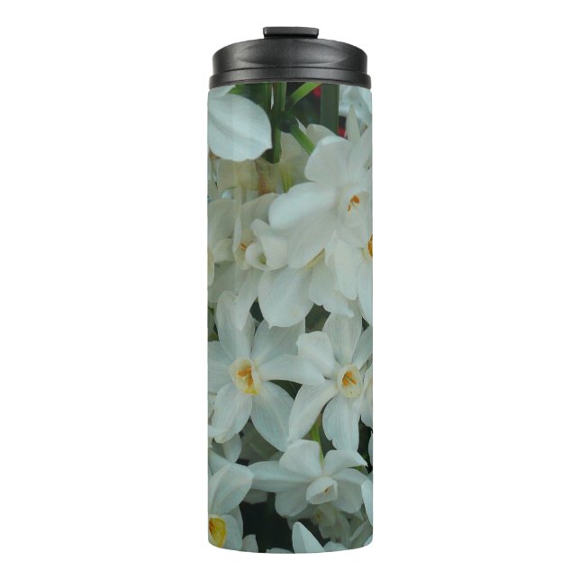 Bouteilles Isothermes Paperwhite Narcissus Fleurs blanches délicates (Devant)