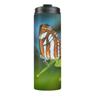 Bouteilles Isothermes Papillon rayé blanc et orange