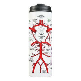 Bouteilles Isothermes Paruline thermique