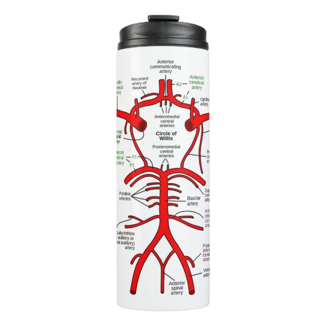 Bouteilles Isothermes Paruline thermique (Devant)