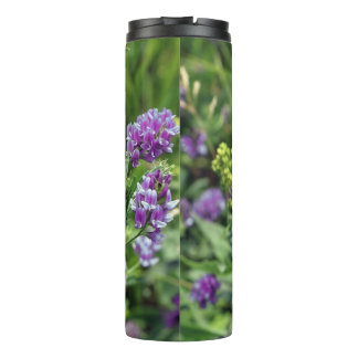 Bouteilles Isothermes Paruline thermique