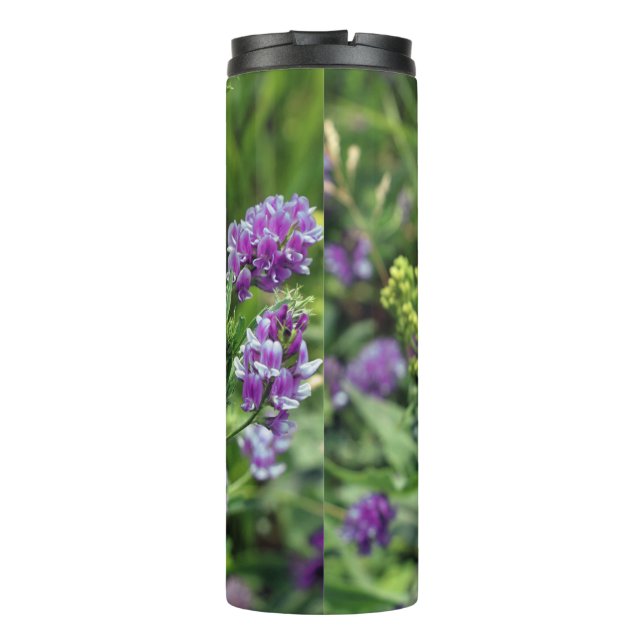 Bouteilles Isothermes Paruline thermique (Dos)