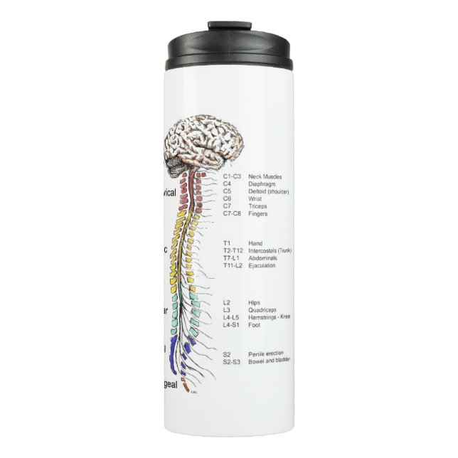 Bouteilles Isothermes Paruline thermique (Devant)