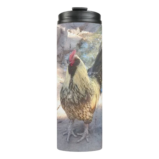 Bouteilles Isothermes Paruline thermique à coq (Devant)