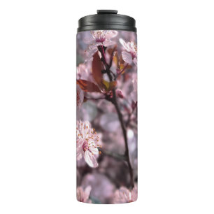 Bouteilles Isothermes Paruline thermique Cerise Plum Arbre rose