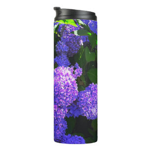 Bouteilles Isothermes Paruline thermique classique violet réaliste Hydra