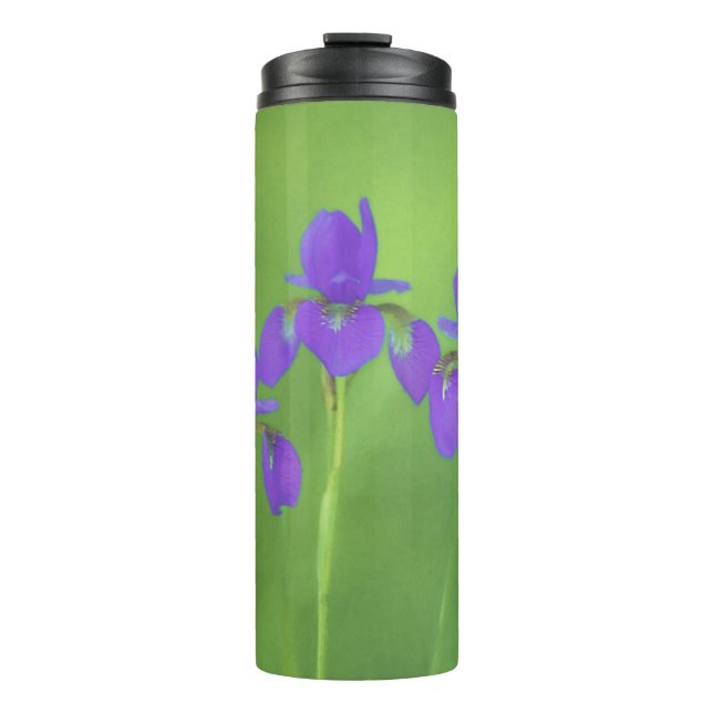 Bouteilles Isothermes Peinture Iris Violet - Art Fleur Originale (Devant)