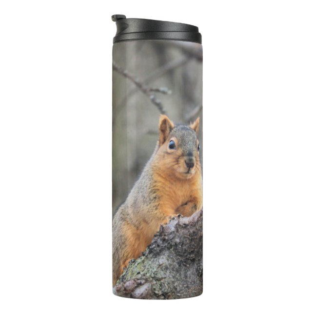 Bouteilles Isothermes Pénal (Tourné sur la droite)