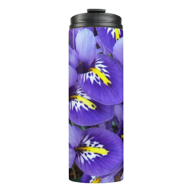 Bouteilles Isothermes Petits iris bleus Floral de printemps (Devant)