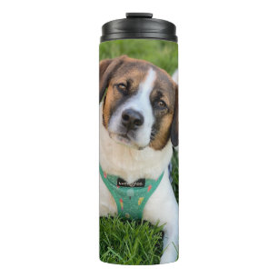 Bouteilles Isothermes Photo de chien Ajoutez votre photo