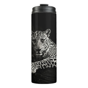 BOUTEILLES ISOTHERMES PHOTO DE GREYSCALE DE LYING LEOPARD