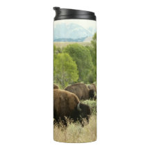 Photographie d'animaux de nature de bison du Wyomi