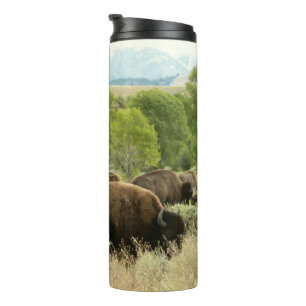 Bouteilles Isothermes Photographie d'animaux de nature de bison du Wyomi