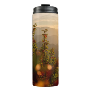 BOUTEILLES ISOTHERMES PHOTOGRAPHIE NATURELLE DES ARBRES VERTS SURPLOMBAN