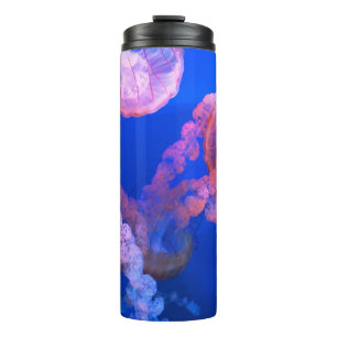 Bouteilles Isothermes Photos aquatiques nautiques Photographie d'animaux