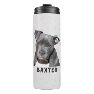 Bouteilles Isothermes Pitbull