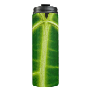 Bouteilles Isothermes Plante à feuilles vertes