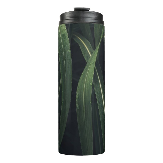 BOUTEILLES ISOTHERMES PLANTE VERT (Devant)