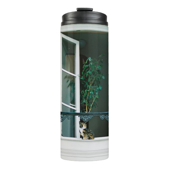 BOUTEILLES ISOTHERMES PLANTE VERT SUR FENÊTRE BLANCHE (Devant)