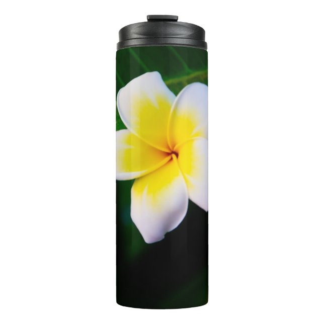 Bouteilles Isothermes Plumeria (Devant)
