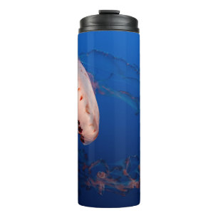 BOUTEILLES ISOTHERMES POISSON BLANC ET ORANGE