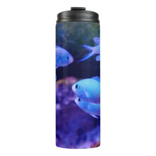 Bouteilles Isothermes Poisson bleu tropical