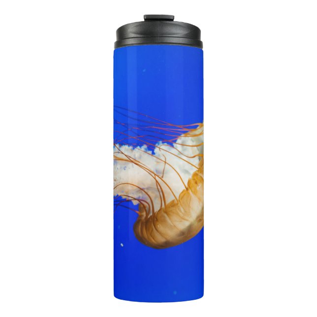 BOUTEILLES ISOTHERMES POISSON BROWN (Devant)