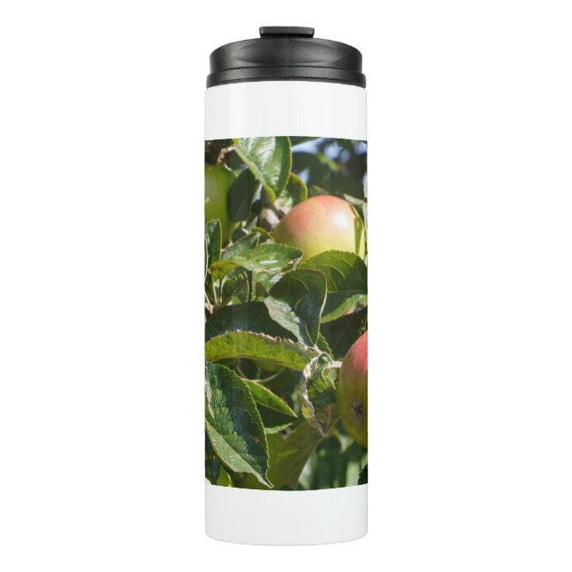 Bouteilles Isothermes Pommes mûrissant sur un pommier (Devant)