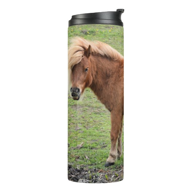 Bouteilles Isothermes Pony tumbler (Tourné sur la gauche)