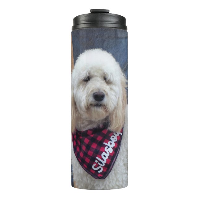 Bouteilles Isothermes Poodle (Devant)