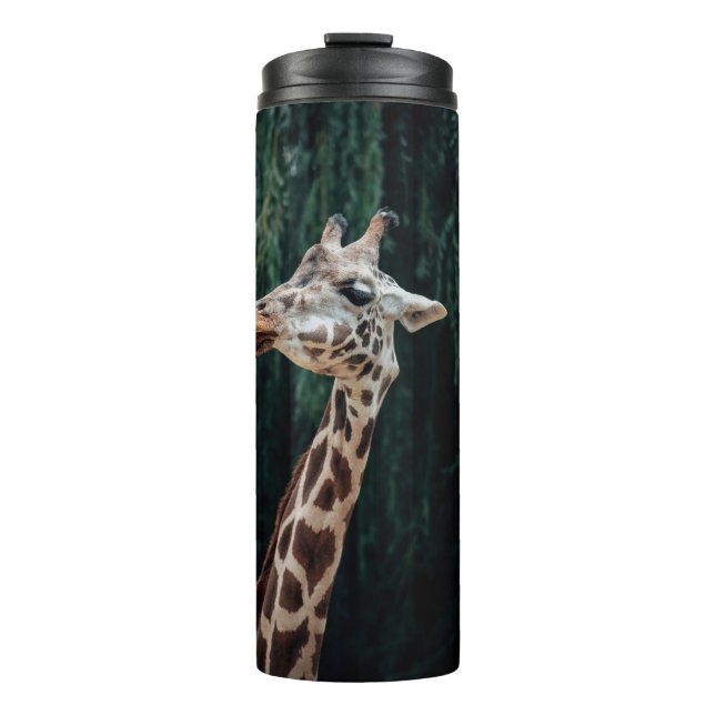BOUTEILLES ISOTHERMES PORTRAIT DE GIRAFFE CUIT (Devant)