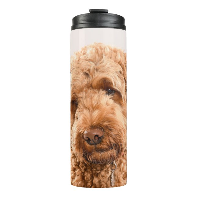 Bouteilles Isothermes Portrait de Goldendoodle Studio (Devant)