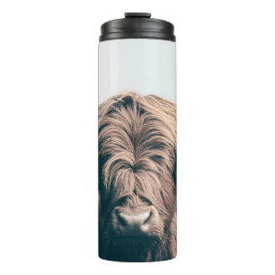 Bouteilles Isothermes Portrait de vache Highland