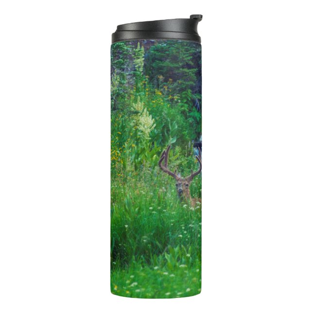 Bouteilles Isothermes Prince de la Forêt (Tourné sur la gauche)