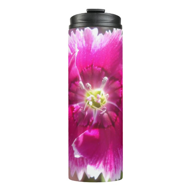 Bouteilles Isothermes Promettre (Devant)