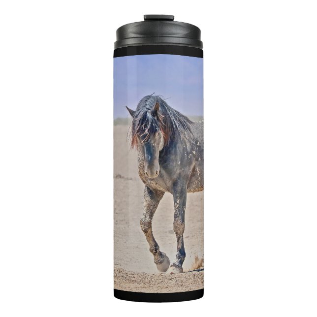 Bouteilles Isothermes Puissant caisson thermique Stallion (Devant)