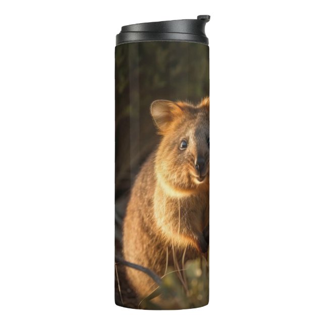BOUTEILLES ISOTHERMES QUOKKA (Tourné sur la gauche)