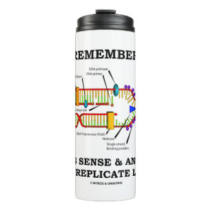 Bouteilles Isothermes Rappelez-vous : Il faut du sens et de l'anti-sens 