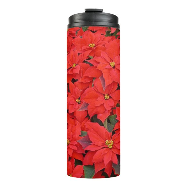 Bouteilles Isothermes Red Poinsettias I Christmas Holiday Floral Photo (Devant)