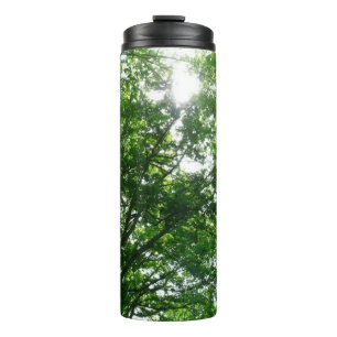 Bouteilles Isothermes Regardant les arbres d'été