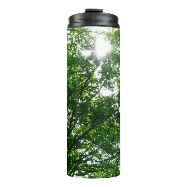 Bouteilles Isothermes Regardant les arbres d'été (Devant)