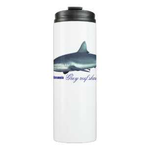 Bouteilles Isothermes requin gris cool