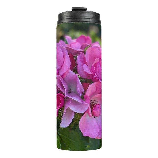 Bouteilles Isothermes Rose lavande (Devant)