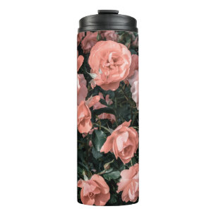 Bouteilles Isothermes Roses rose pastel poussant dans le jardin en li do