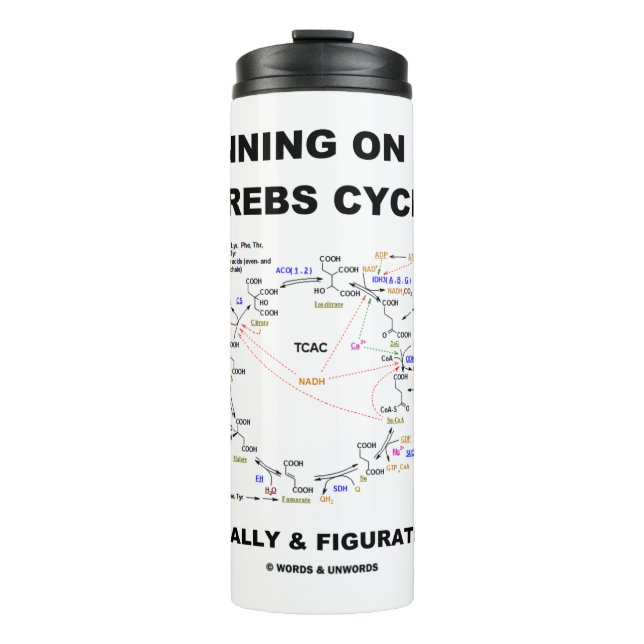 Bouteilles Isothermes Running On The Krebs Cycle Biochemistry Geek Humou (Devant)
